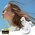 Наушники Haylou Mori Pro White (T016) 