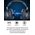  Наушники OneOdio Pro-C Black (80003217) 