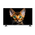  Телевизор Topdevice TDTV42BS04FBK 