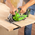  Пила циркулярная Greenworks GD24CS165 (1501607) без АКБ 
