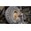  Гайковерт Milwaukee M18 ONE FHIWF1D-0C Fuel (4933471755) 