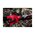  Электропила цепная Milwaukee M12 FHS-0 Fuel (4933472211) 