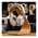  Наушники-гарнитура Bose QuietComfort Ultra Headphones белый 