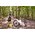  Минимойка HOTO HTT0023EU 20V Pressure Washer Pro 