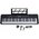  Синтезатор Terris TK-500 BK 