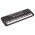  Синтезатор Supra SKB-541 54 клав. черный 