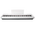  Цифровое фортепиано Solista DP125WH 
