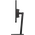  Монитор Lenovo ThinkVision E24-30 (63EDMAT2UK) черный 