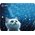  Коврик для мыши Cactus CS-MPC-D11M White Cat 300x250x3мм 