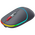 Мышь беспроводная Canyon MW-22 (CNS-CMSW22DG) Темно-серый (Dark Gray) 