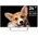  Телевизор TOPDEVICE TDTV24CS03_WE Smart 