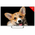  Телевизор TOPDEVICE TDTV32CS03H_WE Smart 