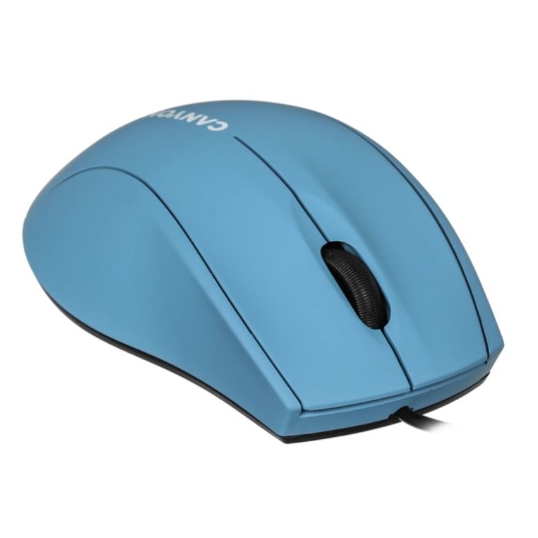 Canyon m-05 мышь. 077kg. Cmf cms. Cms 05. Сканирующая система optech cms 500.